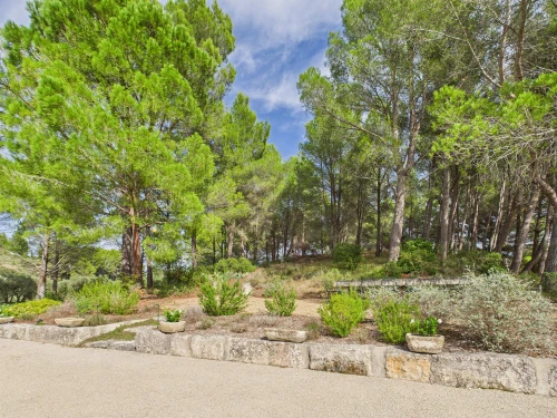 Casa Maussane-les-Alpilles, 4 dormitorios, 6 personas - photo_1011964527944