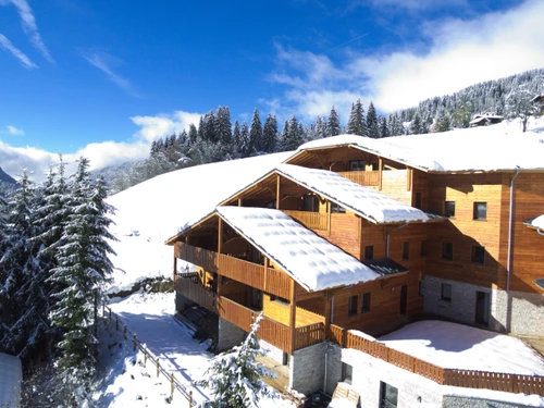 Apartment Les Gets, 3 bedrooms, 6 persons - photo_1011965718294