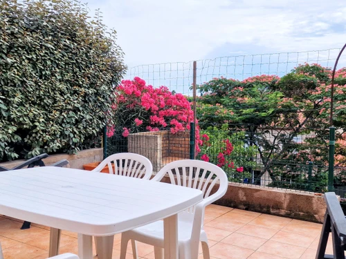 Studio Banyuls-sur-Mer, 1 pièce, 4 personnes - photo_15849623763