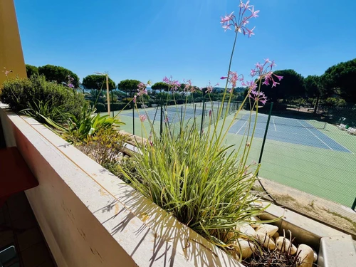 Ferienwohnung Bormes-les-Mimosas, 2 Schlafzimmer, 4 Personen - photo_15401641912