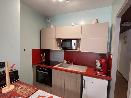 Studio Les Deux Alpes, 1 pièce, 4 personnes - photo_19638235083