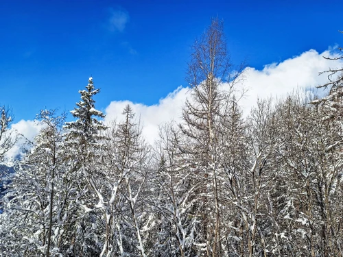 Chalet La Plagne, 2 Schlafzimmer, 6 Personen - photo_1011820570859