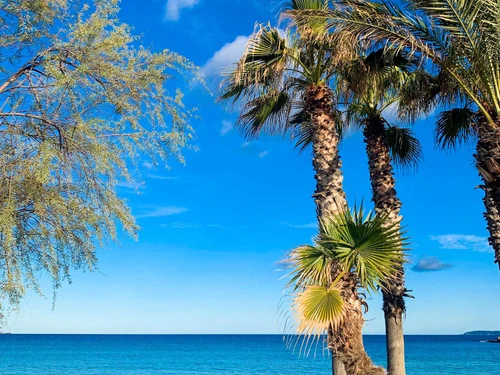 Apartment Le Lavandou, 1 bedroom, 4 persons - photo_1011823244380