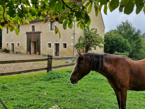 Gîte Bitry, 8 pièces, 14 personnes - photo_1011972291764