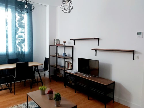 Apartment Seville, 2 bedrooms, 4 persons - photo_1011975299313