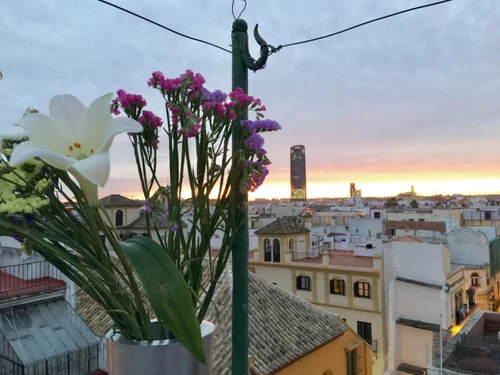 Apartment Seville, 1 bedroom, 2 persons - photo_1011975300719