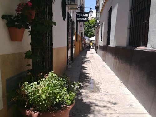 Apartment Seville, 1 bedroom, 3 persons - photo_1011975303206