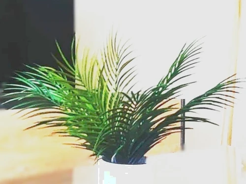 Apartment Seville, 1 bedroom, 3 persons - photo_1011975305578