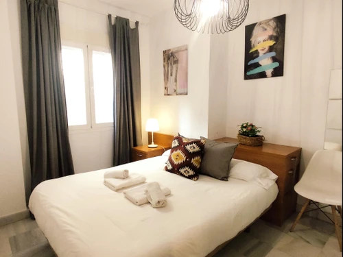 Apartment Seville, 2 bedrooms, 4 persons - photo_1011975305951