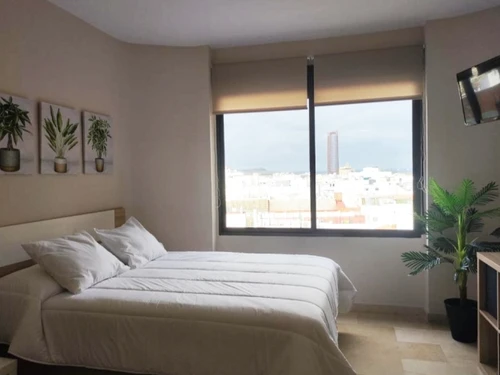 Apartment Seville, 1 bedroom, 2 persons - photo_1011975311043