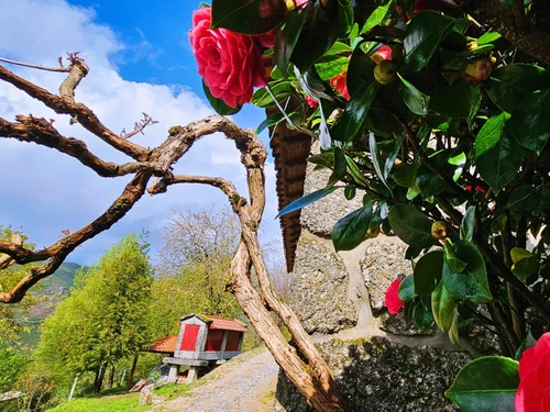 Villa Terras de Bouro, 3 bedrooms, 5 persons - photo_1011962265015