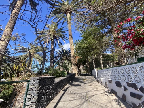 Studio Valle Gran Rey, 1 pièce, 2 personnes - photo_1011982401178