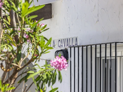 Villa Denia, 1 dormitorio, 3 personas - photo_1011865831577