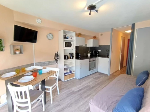 Studio Saint-Lary-Soulan, studio flat, 4 persons - photo_1011984115926