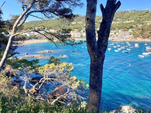 Villa Llafranc, 5 bedrooms, 9 persons - photo_1011985597198