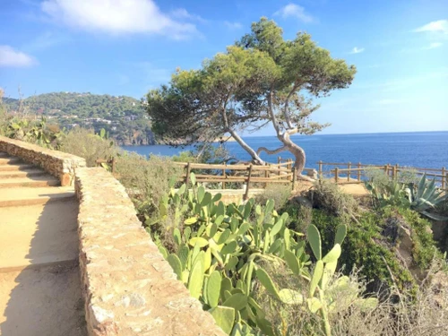 Villa Llafranc, 4 bedrooms, 8 persons - photo_1011985603972