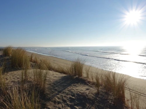 Maison Le Grand-Village-Plage, 4 pièces, 6 personnes - photo_1011992526906