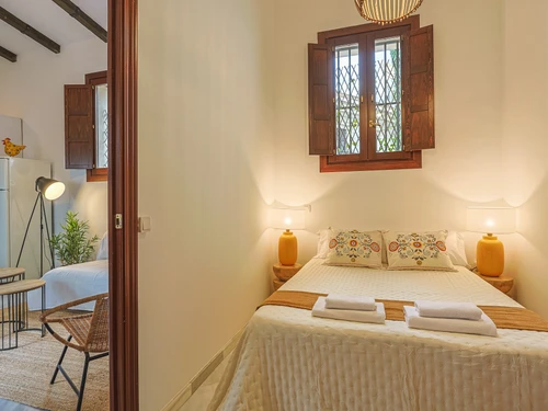 Apartment Seville, 1 bedroom, 3 persons - photo_1011991088945