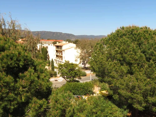 Studio Bormes-les-Mimosas, Studio, 4 Personen - photo_1011995240559