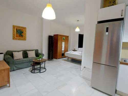 Apartment Seville, 1 bedroom, 2 persons - photo_1011975301839
