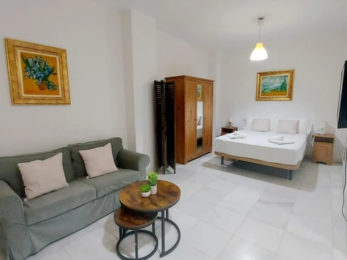 Apartment Seville, 1 bedroom, 2 persons - photo_1011975301839