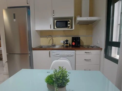 Apartment Seville, 1 bedroom, 2 persons - photo_1011975301839