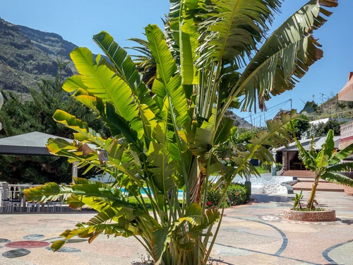 Guestroom Mogán, 1 bedroom, 4 persons - photo_1011997820659