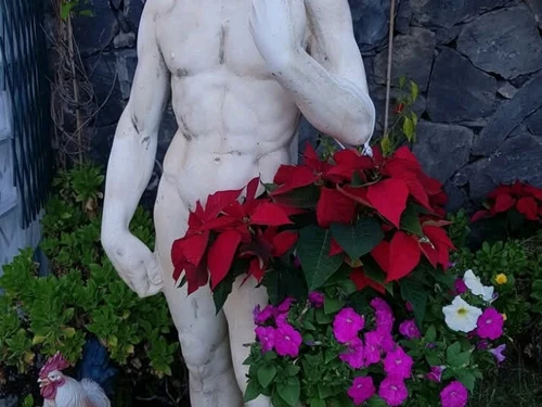 Apartamento El Médano, 1 dormitorio, 2 personas - photo_1011998880106