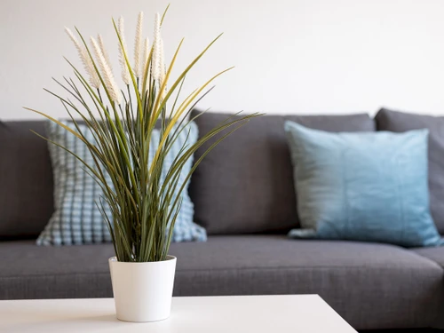 Apartamento Costa Calma, 1 dormitorio, 3 personas - photo_1011999984275