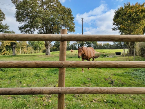 Ferienwohnung Saint-Jean-sur-Mayenne, 2 Schlafzimmer, 4 Personen - photo_15119198423