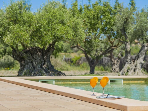 Villa Alcúdia, 3 bedrooms, 6 persons - photo_1012006540192