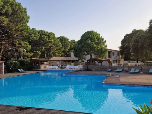 Appartement Lecci, 2 pièces, 4 personnes - photo_1012008290696