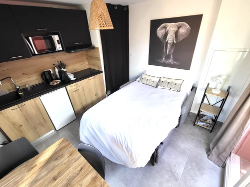 Appartement Lecci, 2 pièces, 4 personnes - photo_1012008292675