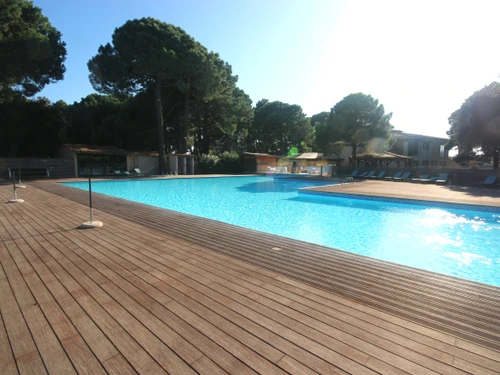 Studio Lecci, studio flat, 2 persons - photo_1012008302121