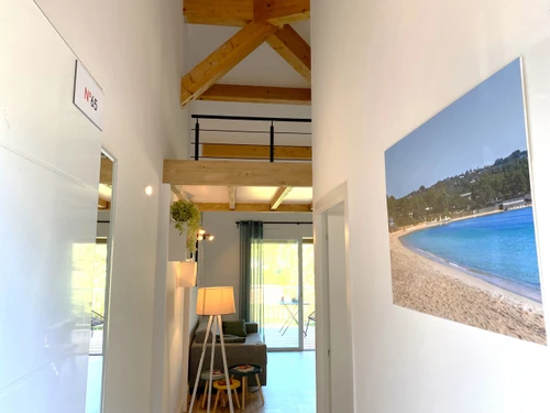 Apartment Lecci, 1 bedroom, 4 persons - photo_1012008308759