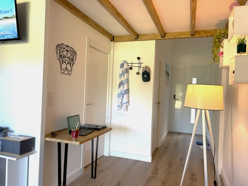 Apartment Lecci, 1 bedroom, 4 persons - photo_1012008308759