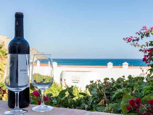 Gîte Lagos, 4 pièces, 6 personnes - photo_1012008589465