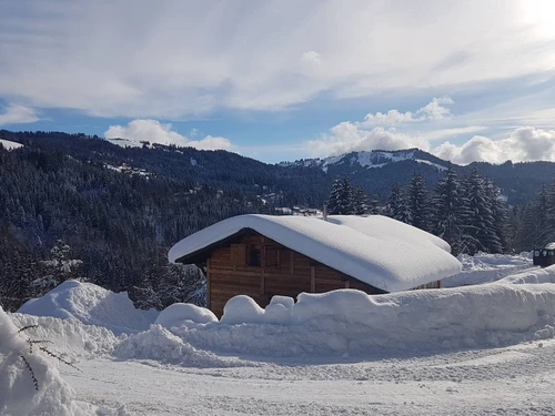 Chalet Les Gets, 3 bedrooms, 8 persons - photo_1011599275835