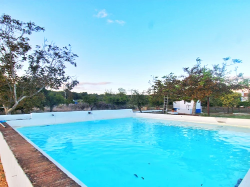 Gîte Alvito, 4 pièces, 6 personnes - photo_1011997470645