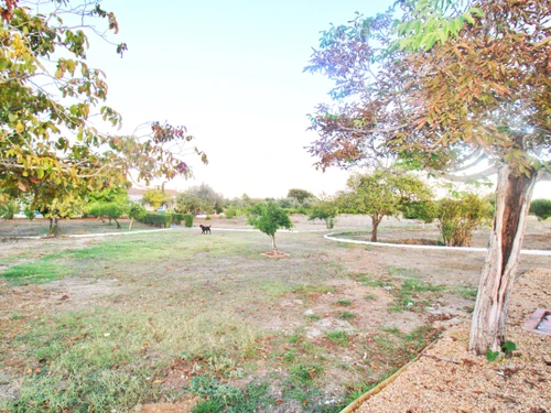 Gîte Alvito, 4 pièces, 6 personnes - photo_1011997470645