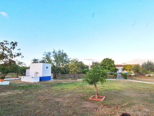 Gîte Alvito, 4 pièces, 6 personnes - photo_1011997470645