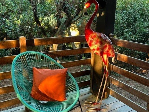 Villa Lège-Cap-Ferret, 5 pièces, 8 personnes - photo_1011681268805