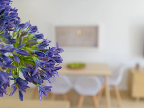 Apartment Puerto del Carmen, 2 bedrooms, 4 persons - photo_1011866121352