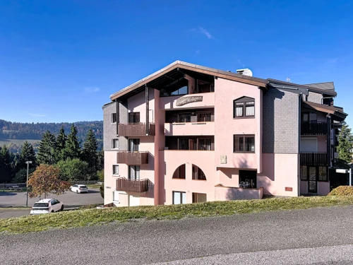 Ferienwohnung Bellevaux, Studio, 4 Personen - photo_1012019535272