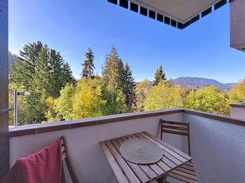 Ferienwohnung Bellevaux, Studio, 4 Personen - photo_1012019535272