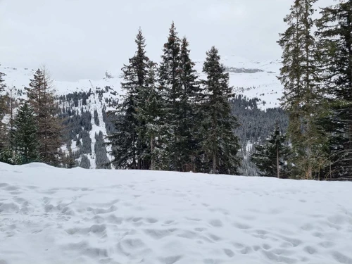 Studio Flaine, 1 bedroom, 4 persons - photo_1012020650029