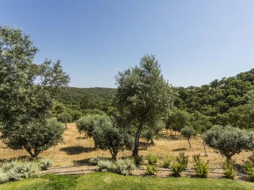 Villa Grândola, 7 dormitorios, 14 personas - photo_1011875185635