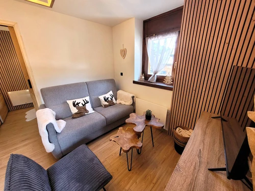 Apartment Les Gets, 1 bedroom, 4 persons - photo_1011629850604