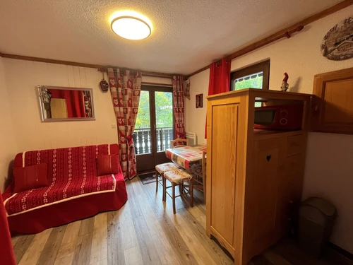 Studio Châtel, 1 pièce, 4 personnes - photo_12477135379