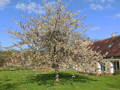 Gîte Saint-Lactencin, 3 pièces, 8 personnes - photo_14993946606